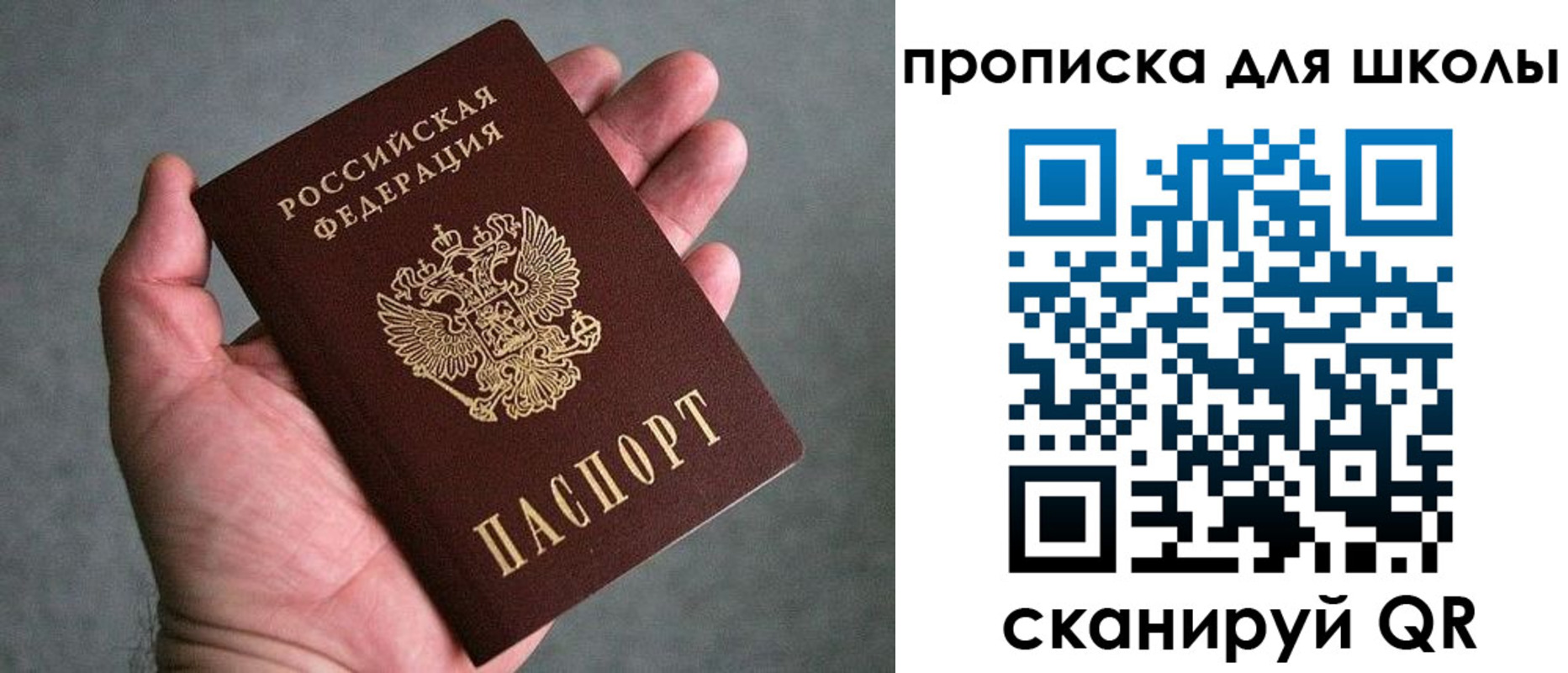 прописка для школы в Новозыбкове